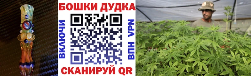 Купить наркотики Камышин Галлюциногенные грибы  МЕФ  ГАШ  Бошки Шишки  Alpha PVP 