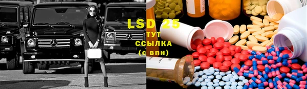 гидра Карпинск