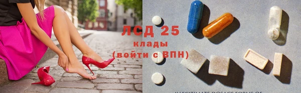ПСИЛОЦИБИНОВЫЕ ГРИБЫ Карталы