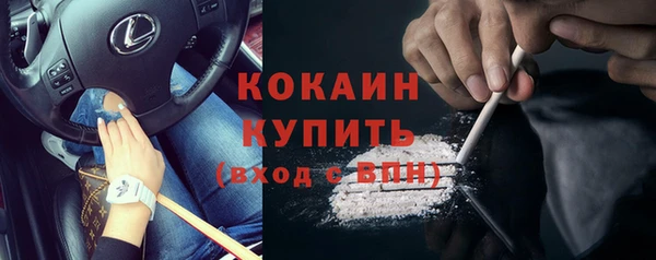 ПСИЛОЦИБИНОВЫЕ ГРИБЫ Карталы