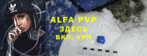 гидра Карпинск