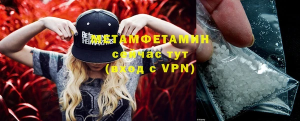 ПСИЛОЦИБИНОВЫЕ ГРИБЫ Карталы
