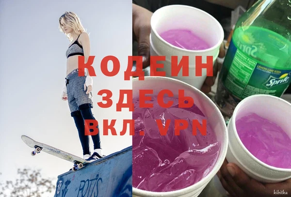 гидра Карпинск
