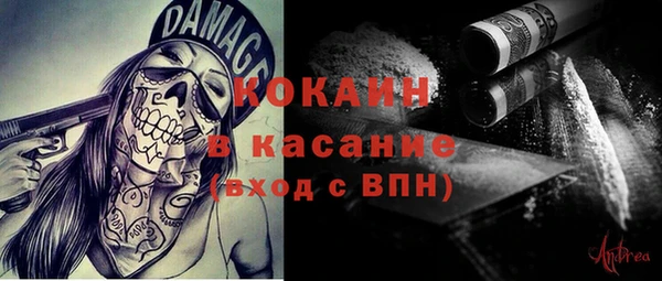гидра Карпинск