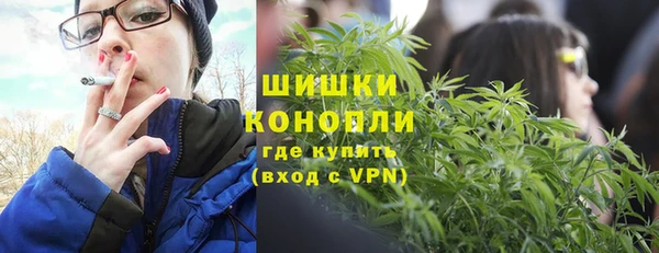 гидра Карпинск