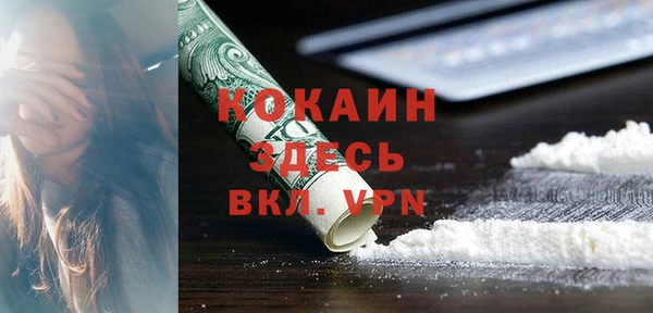 ПСИЛОЦИБИНОВЫЕ ГРИБЫ Карталы