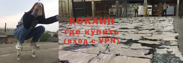 гидра Карпинск