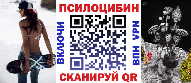 купить  сайты  Камышин  Галлюциногенные грибы мицелий 
