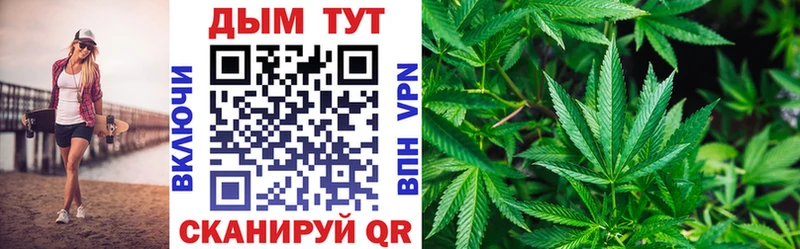 Бошки Шишки индика  купить   Камышин 